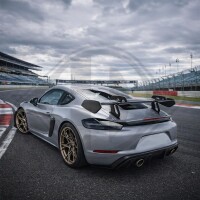 Spoiler hinten für PORSCHE 718 CAYMAN (982)