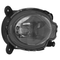Nebelscheinwerfer rechts für VW POLO VI (AW1, BZ1, AE1)