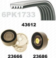 Keilrippenriemensatz für BMW 3 (E46)