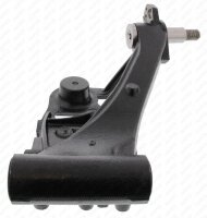 Lenker, Radaufhängung Hinterachse links für FIAT PUNTO (176_)