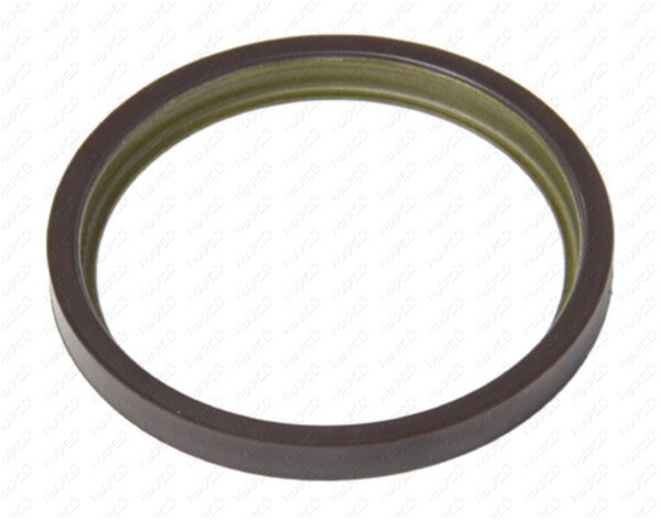 Sensorring, ABS Hinterachse beidseitig für FIAT DUCATO Kasten (250_, 290_)