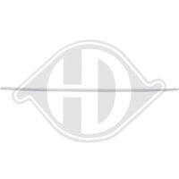 Zier-/Schutzleiste, Tür vorne rechts für...