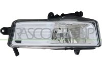 Nebelscheinwerfer rechts für AUDI A6 C6 (4F2)