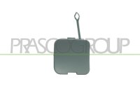 Klappe, Abschlepphaken hinten für BMW 3 (E46)
