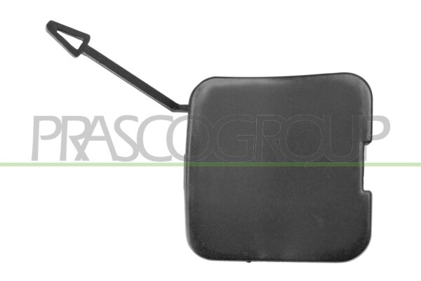 Klappe, Abschlepphaken hinten für BMW 3 Touring (E46)
