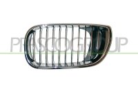 Kühlergitter links für BMW 3 (E46)