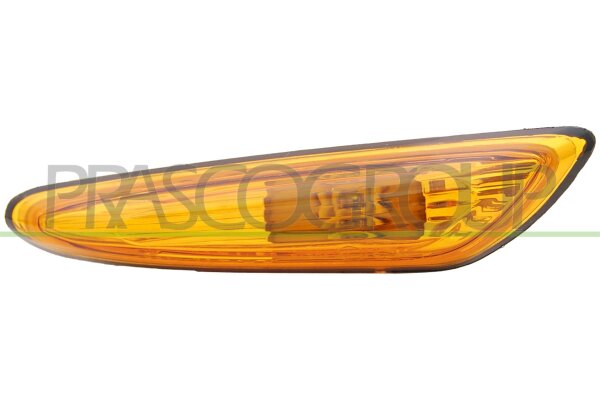 Blinkleuchte seitlicher Einbau,vorne links für BMW 3 (E46)