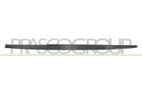 Schwellerverkleidung links für BMW 3 (F30, F80)