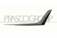 Zier-/Schutzleiste, Kühlergitter vorne links für BMW 3 (G20, G80, G28)