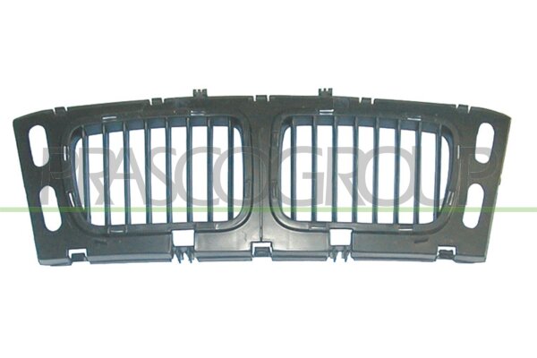 Kühlergitter für BMW 5 (E34)