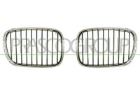 Kühlergitter rechts für BMW 5 (E39)