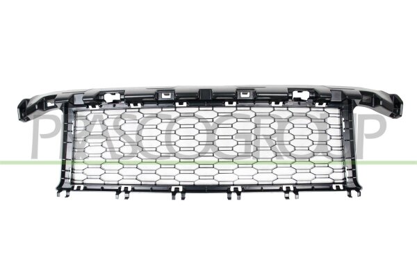Lüftungsgitter, Stoßfänger vorne für BMW X1 (F48)