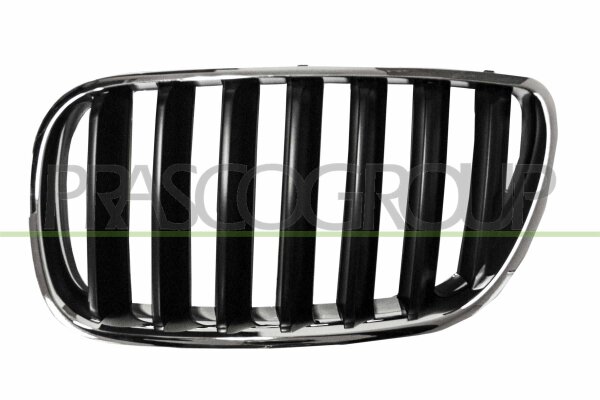 Kühlergitter links für BMW X3 (E83)