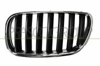 Kühlergitter links für BMW X3 (E83)