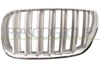 Kühlergitter links für BMW X3 (E83)