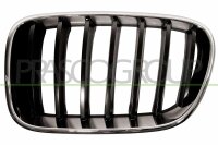 Kühlergitter links für BMW X3 (F25)