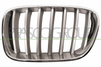 Kühlergitter links für BMW X3 (F25)