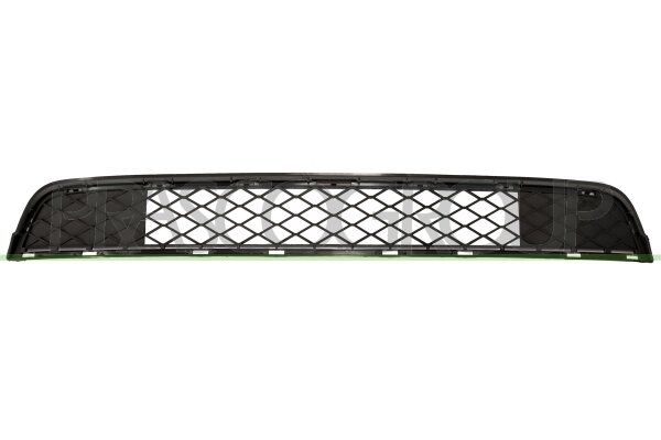 Lüftungsgitter, Stoßfänger mitte für BMW X3 (F25)