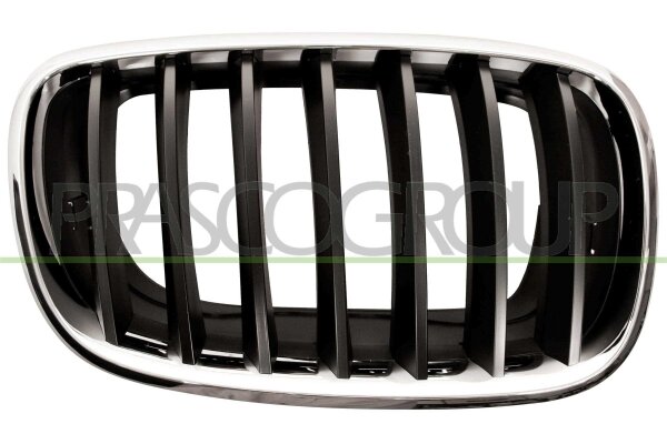 Kühlergitter rechts für BMW X5 (E70)