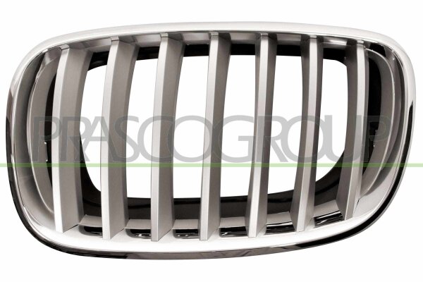 Kühlergitter links für BMW X5 (E70)