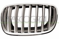 Kühlergitter links für BMW X5 (E70)