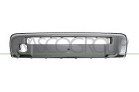 Zier-/Schutzleiste, Stoßfänger vorne für CITROËN C1 II (PA_, PS_)