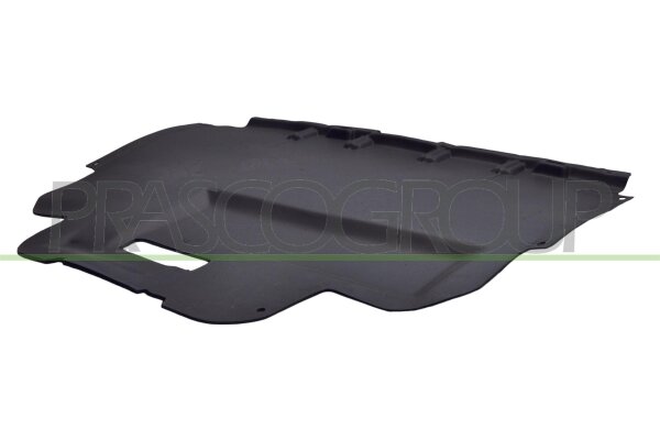 Motorraumdämmung Fahrzeugfront für CITROËN C5 I (DC_)