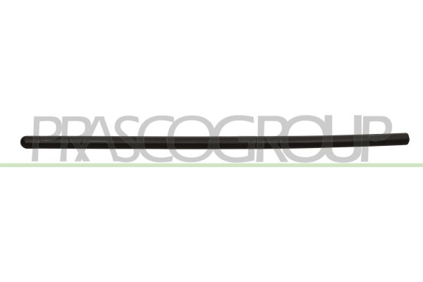 Zier-/Schutzleiste, Tür vorne links,vorne rechts für DACIA LOGAN (LS_)