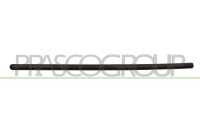 Zier-/Schutzleiste, Tür vorne links,vorne rechts für DACIA LOGAN (LS_)