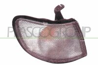 Lichtscheibe, Blinkleuchte vorne rechts für NISSAN SUNNY III (N14, B13)