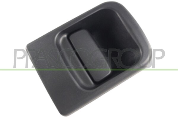 Türaußengriff außen,Fahrzeughecktür,hinten für RENAULT MASTER II Kasten (FD)
