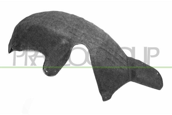 Innenkotflügel hinten rechts für FORD FIESTA VI (CB1, CCN)