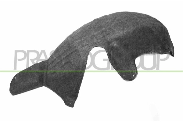 Innenkotflügel hinten links für FORD FIESTA VI (CB1, CCN)