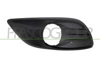 Lüftungsgitter, Stoßfänger vorne links...