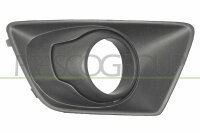 Lüftungsgitter, Stoßfänger vorne links...