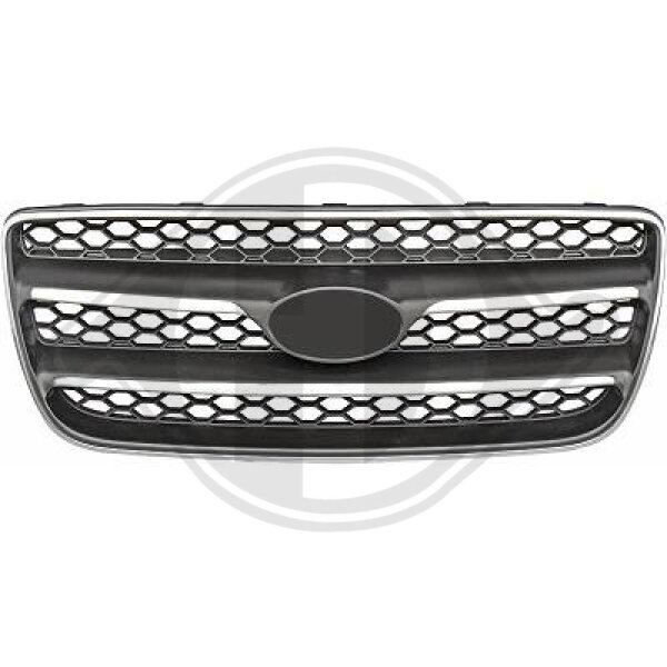 Kühlergitter für HYUNDAI SANTA FÉ II (CM)
