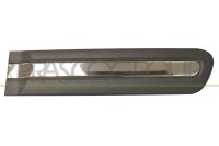 Zier-/Schutzleiste, Tür hinten rechts für FIAT...