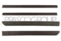 Zier-/Schutzleiste, Tür hinten links,hinten rechts,vorne links,vorne rechts für FIAT PANDA (169_)