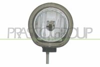 Nebelscheinwerfer links,rechts für FIAT PANDA (169_)
