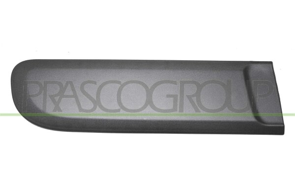 Zier-/Schutzleiste, Tür hinten rechts für FIAT PANDA (312_, 319_)