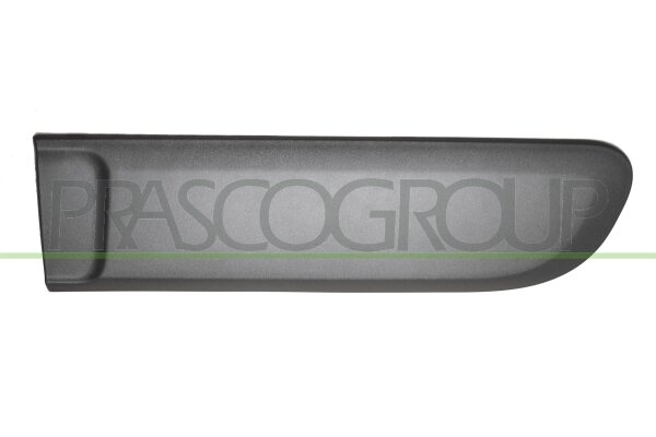 Zier-/Schutzleiste, Tür hinten links für FIAT PANDA (312_, 319_)