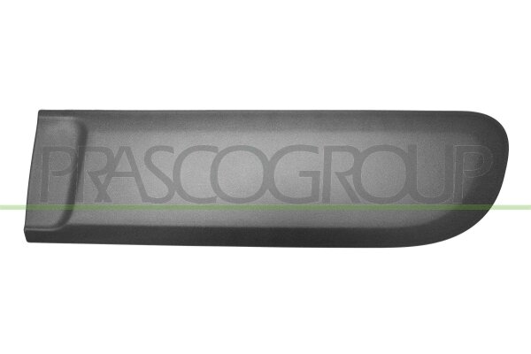 Zier-/Schutzleiste, Tür hinten links für FIAT PANDA (312_, 319_)