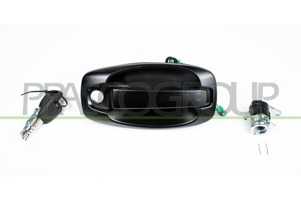 Türaußengriff außen,Fahrzeughecktür,hinten für FIAT FIORINO Kasten/Großraumlimousine (225_)