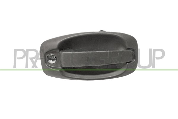 Türaußengriff außen,Fahrzeughecktür,hinten für FIAT FIORINO Kasten/Großraumlimousine (225_)