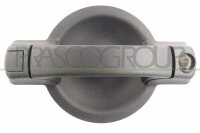 Türaußengriff außen,hinten rechts...