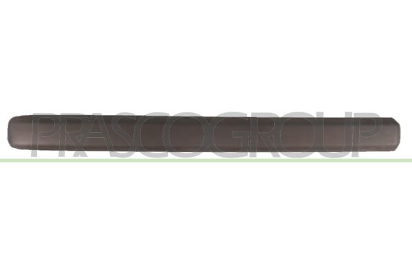 Zier-/Schutzleiste, Tür vorne links für FIAT DOBLO Kasten/Großraumlimousine (223_)