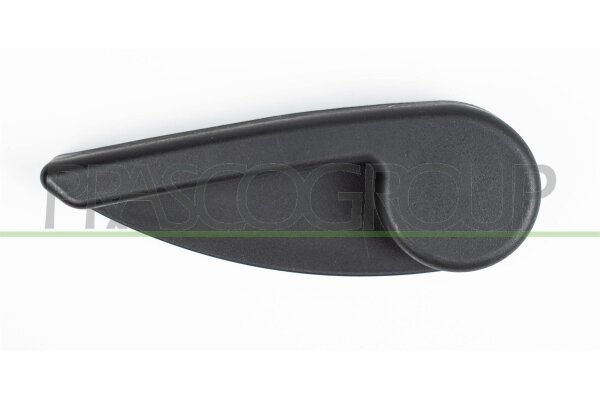 Türgriff, Innenausstattung innen,links,Schiebetür für FIAT DOBLO Kasten/Großraumlimousine (223_)