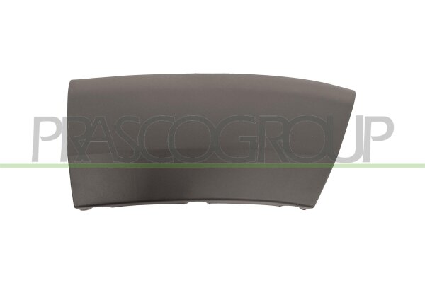 Zier-/Schutzleiste, Kotflügel vorne rechts für FIAT DUCATO Kasten (250_)