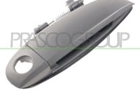 Türaußengriff außen,vorne rechts...