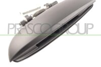 Türaußengriff außen,hinten links...